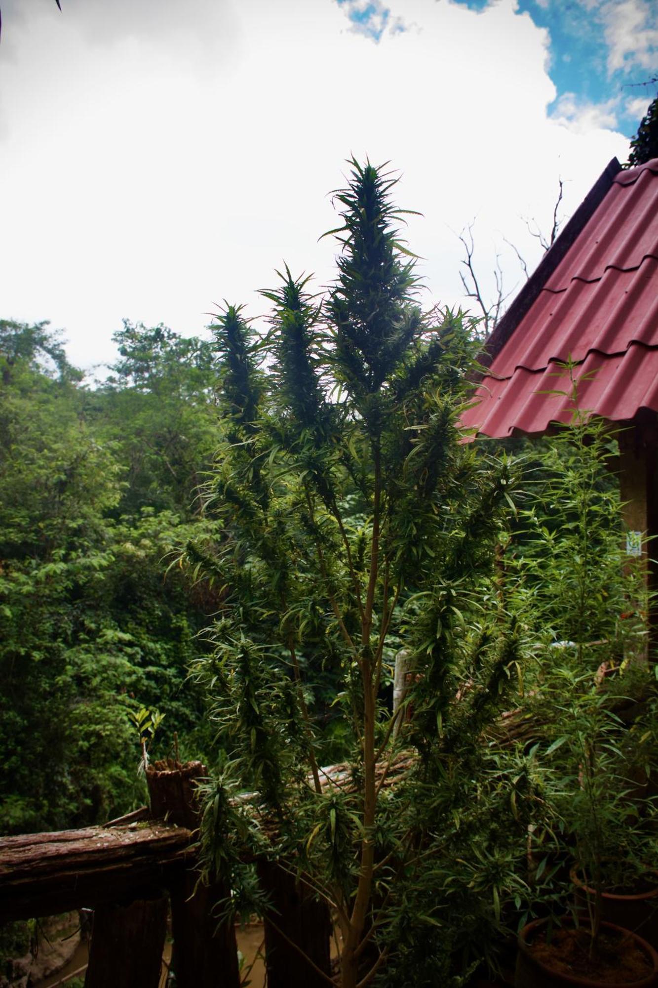 Aerie Lodge Pang Mapha Экстерьер фото
