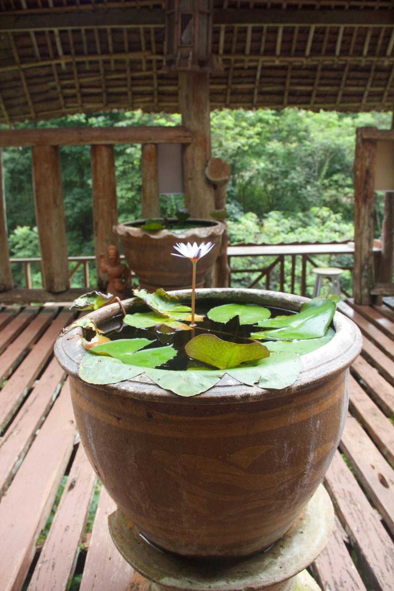 Aerie Lodge Pang Mapha Экстерьер фото