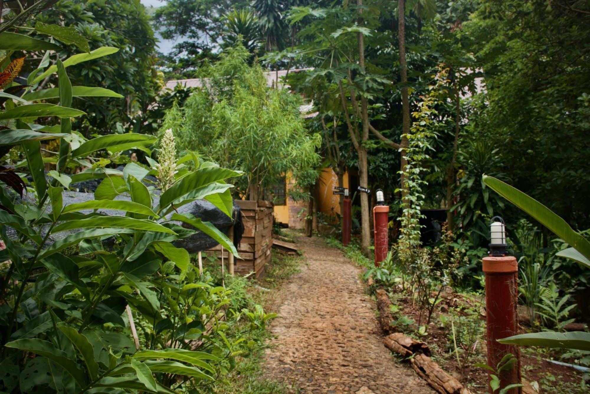 Aerie Lodge Pang Mapha Экстерьер фото