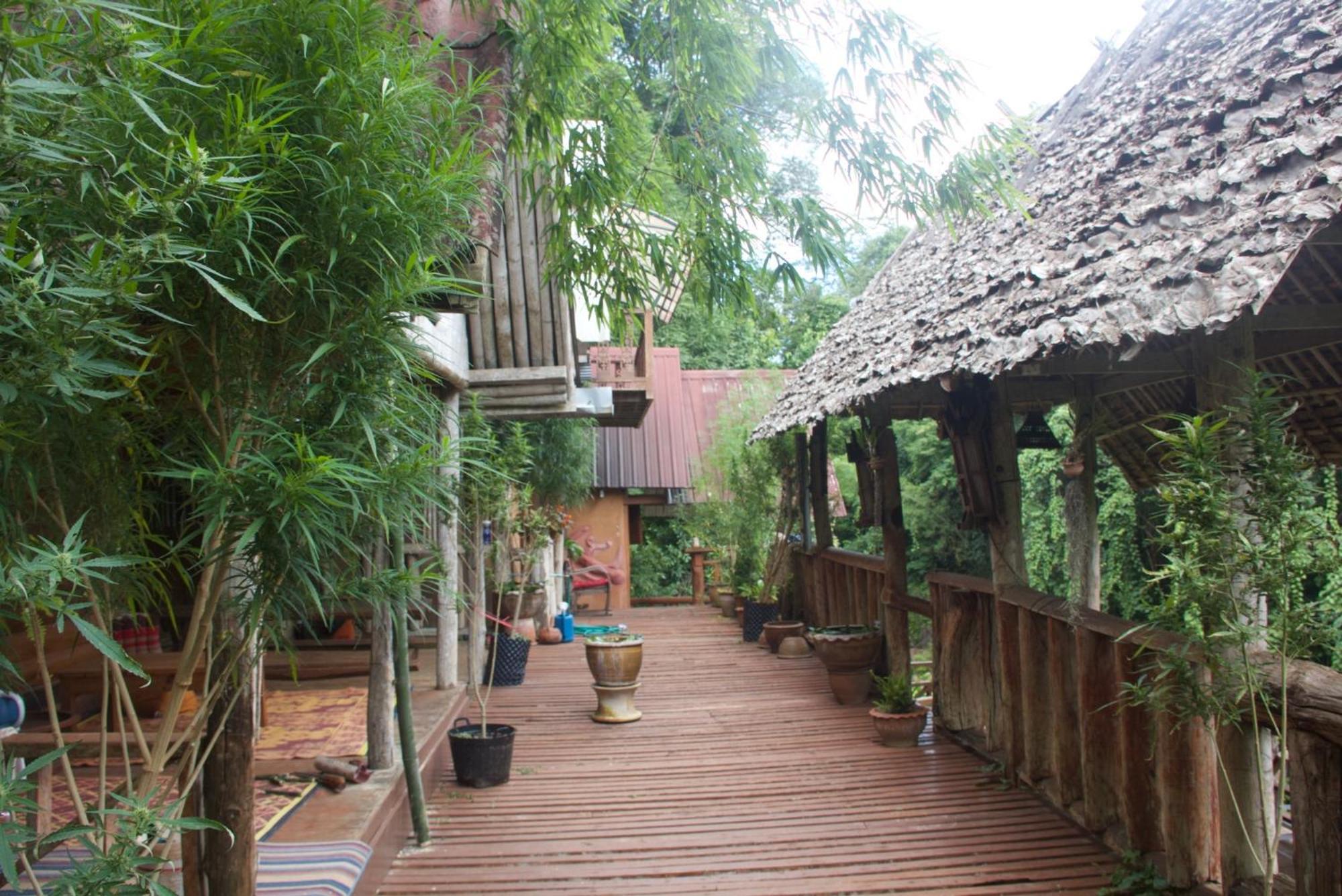 Aerie Lodge Pang Mapha Экстерьер фото